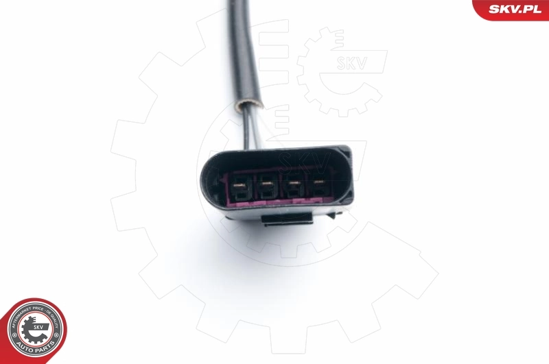Oxygen Sensor